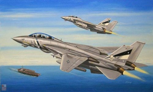 Hobby Boss 1:72 F-14D Super Tomcat