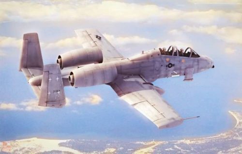 Hobby Boss 1:48 N/AW A-10A Thunderbolt II