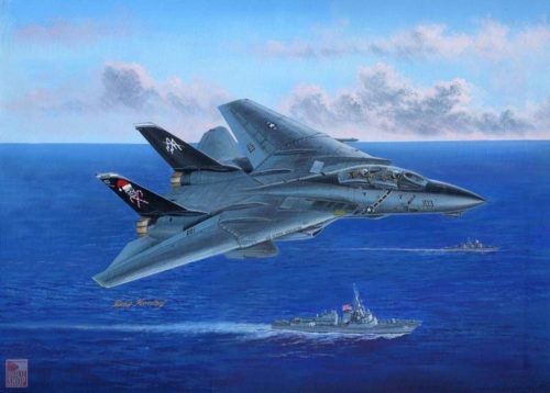 Hobby Boss 1:48 F-14B Tomcat