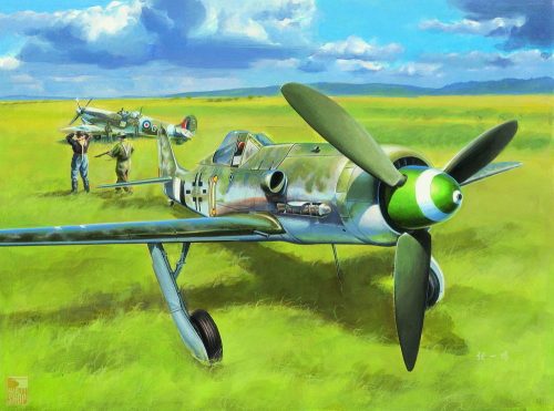 Hobby Boss 1:48 Focke-Wulf FW190D-13