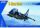 KINETIC 1:48 T-Harrier T2/T4/T8