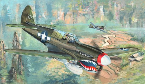 Trumpeter 1:32 P-40N War Hawk