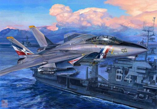 Trumpeter 1:32 F-14D Super Tomcat